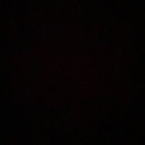 Meet your Posher, Lynnzy